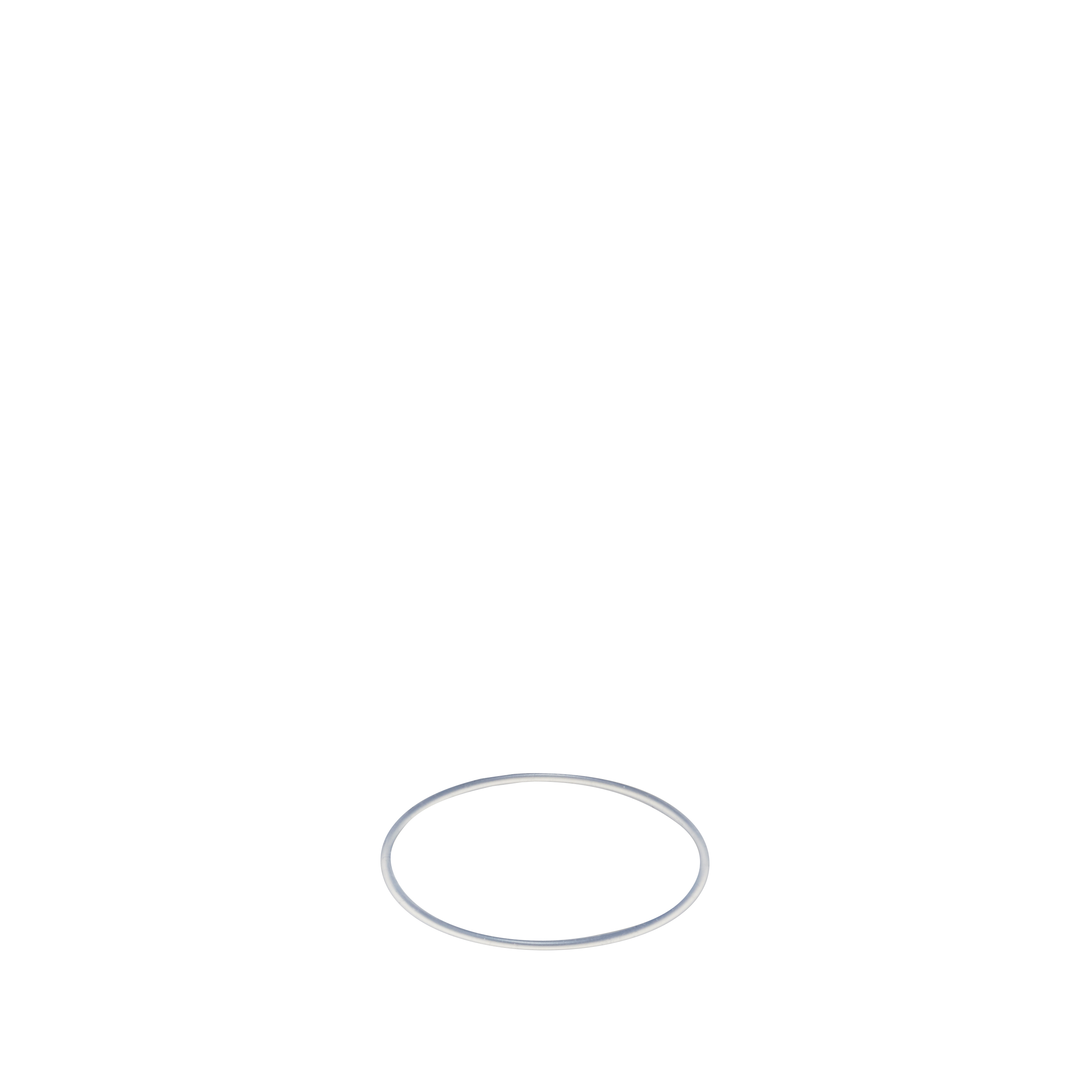 O-ring: LR4 (5 pieces)